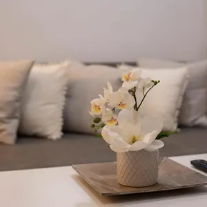 Wish Santa Clara De Apartamento
